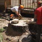 Stump removal
